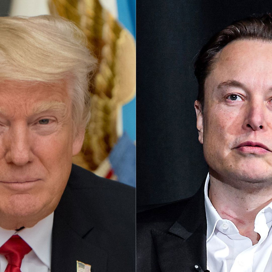 Donald Trump and Elon Musk
